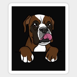 Boxer Magnet